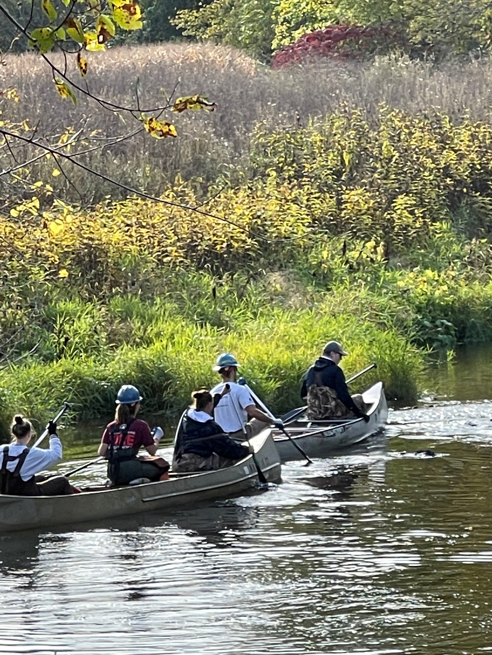 Canoe Launch3